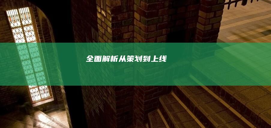 全面解析：从策划到上线